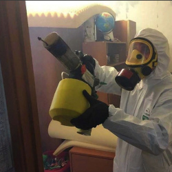 Уничтожение клопов в квартире. Мамадыш